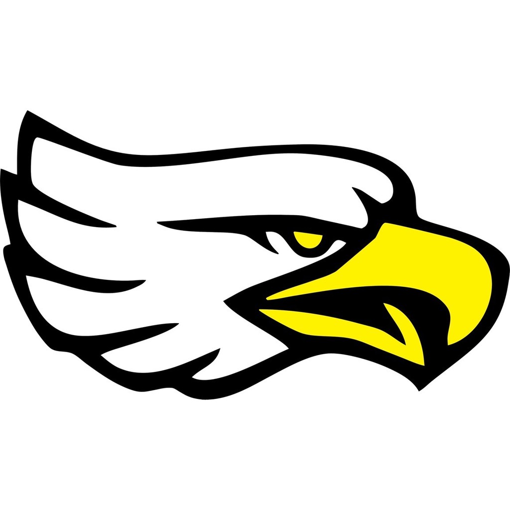 Square eagle Head Logo