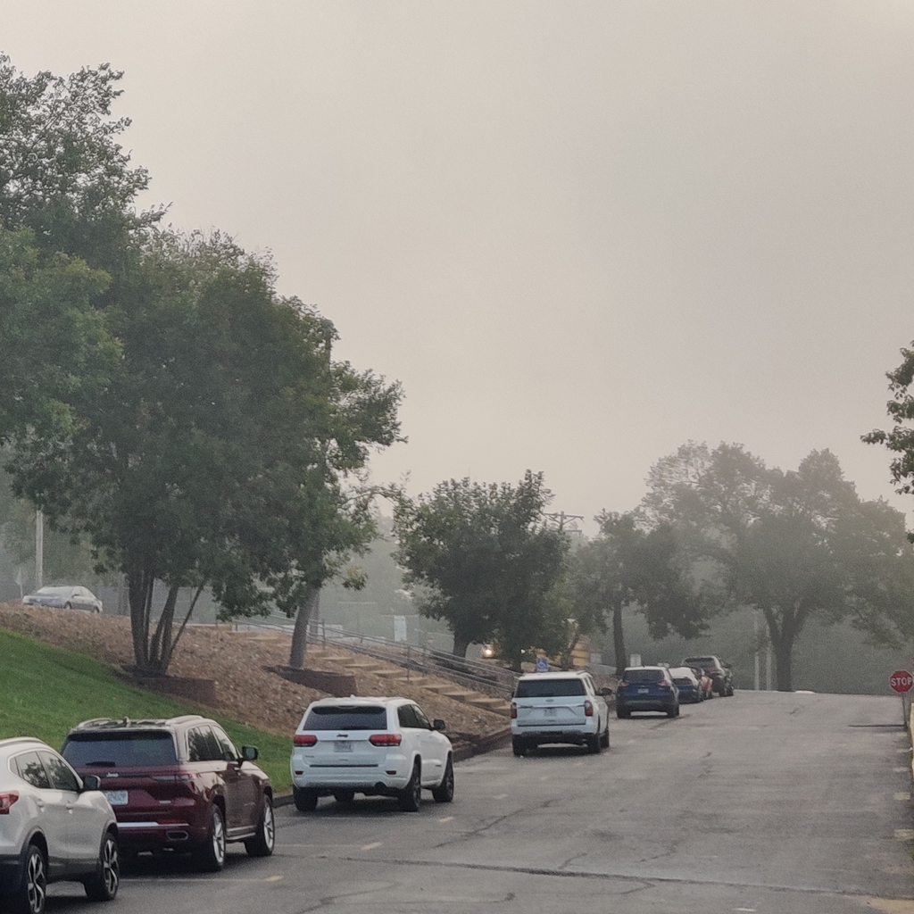 foggy first day. 