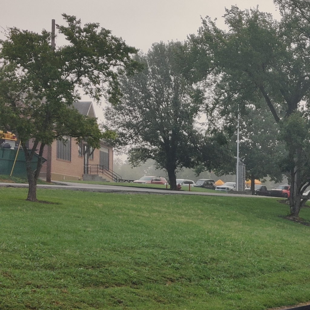 foggy first day