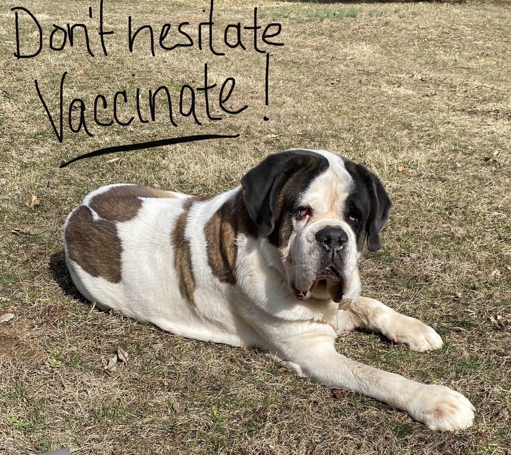 Don't Hesitate, Vaccinate
